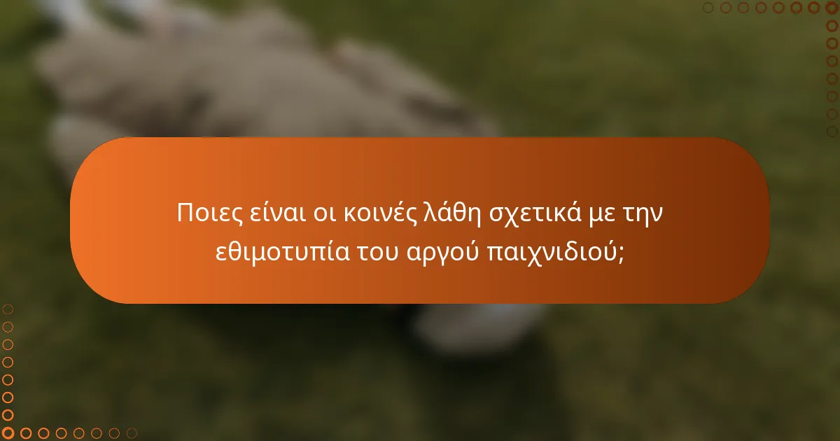 Ποιες είναι οι κοινές λάθη σχετικά με την εθιμοτυπία του αργού παιχνιδιού;